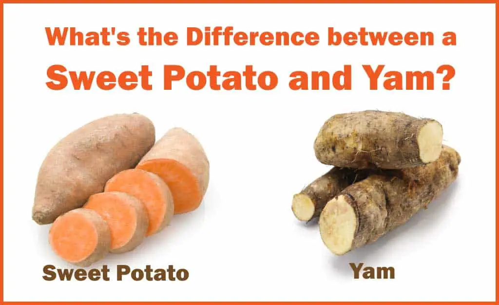 What’s the Difference Between Sweet Potatoes and Yams? – Grocery Store ...